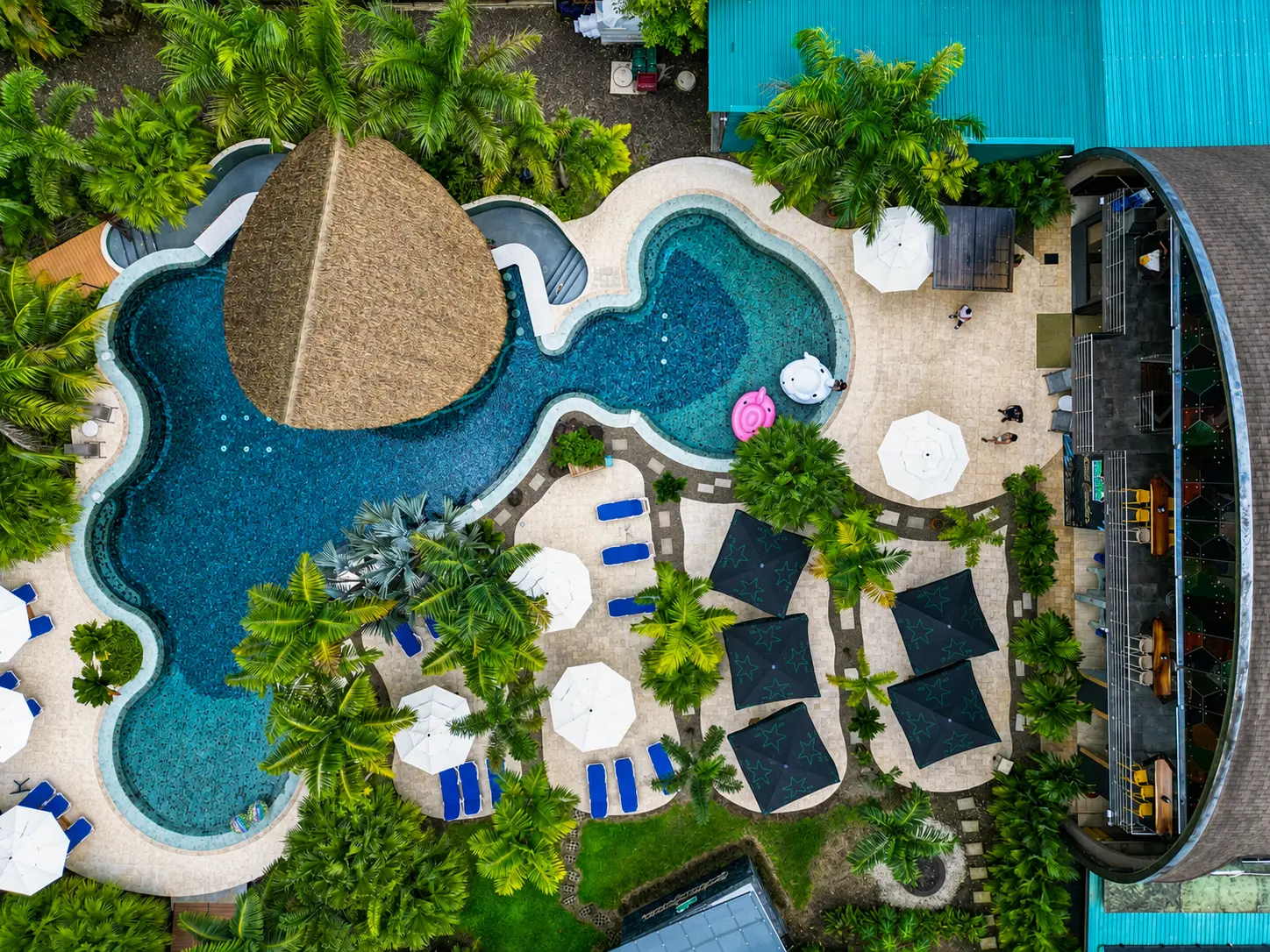 Aerial top-down view of the free-form pool and sun terrace