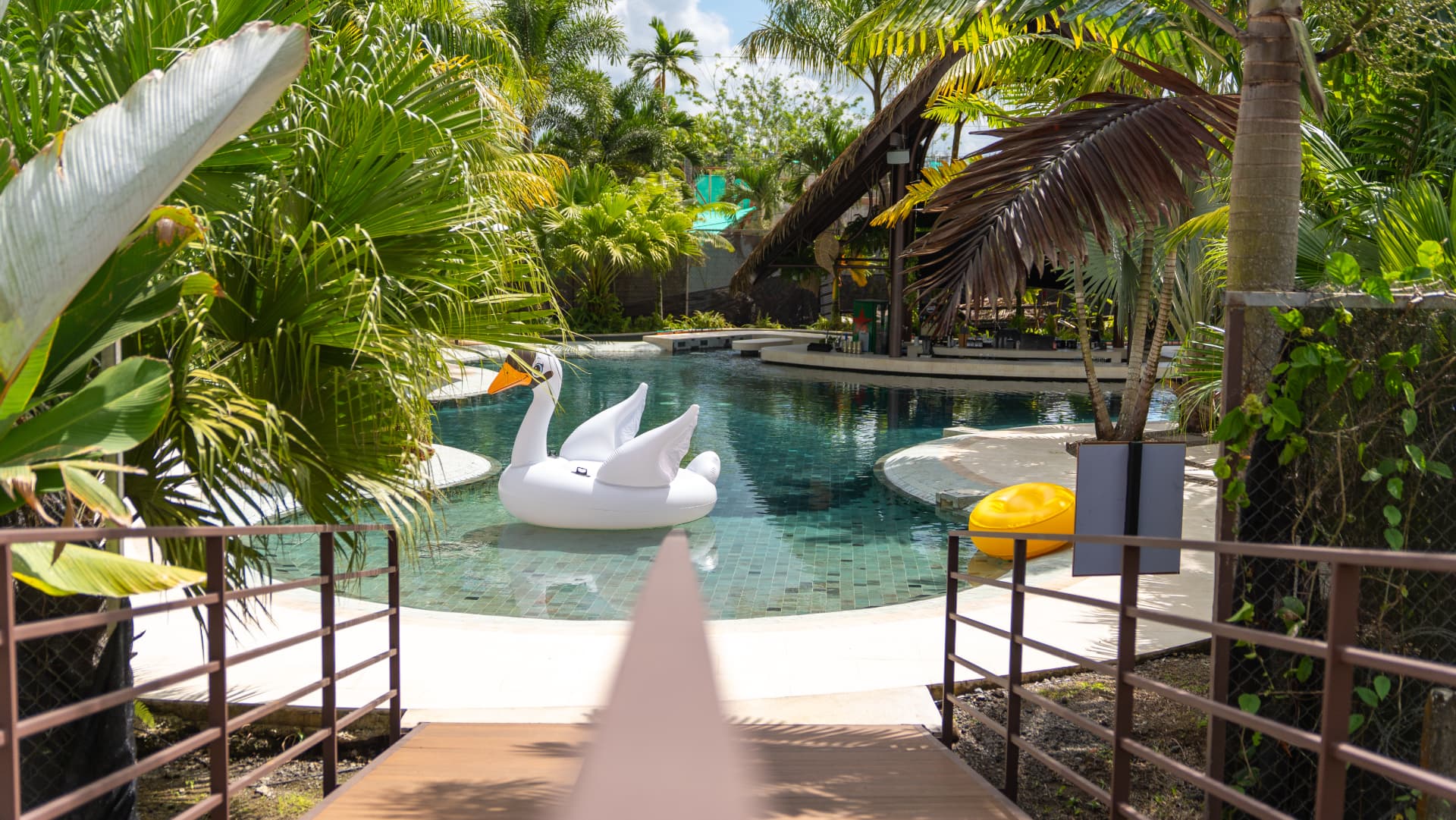 Tropical pool with swan float